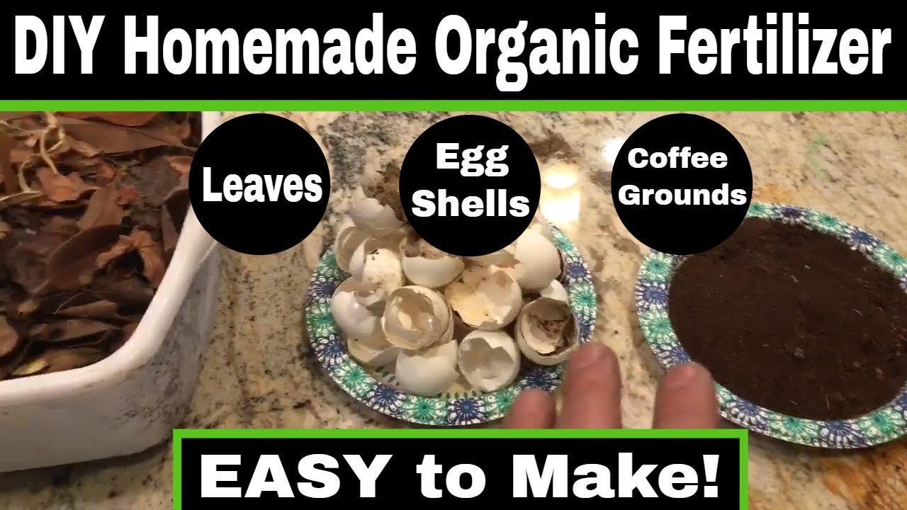 Easy DIY Homemade Organic Garden Fertilizer!