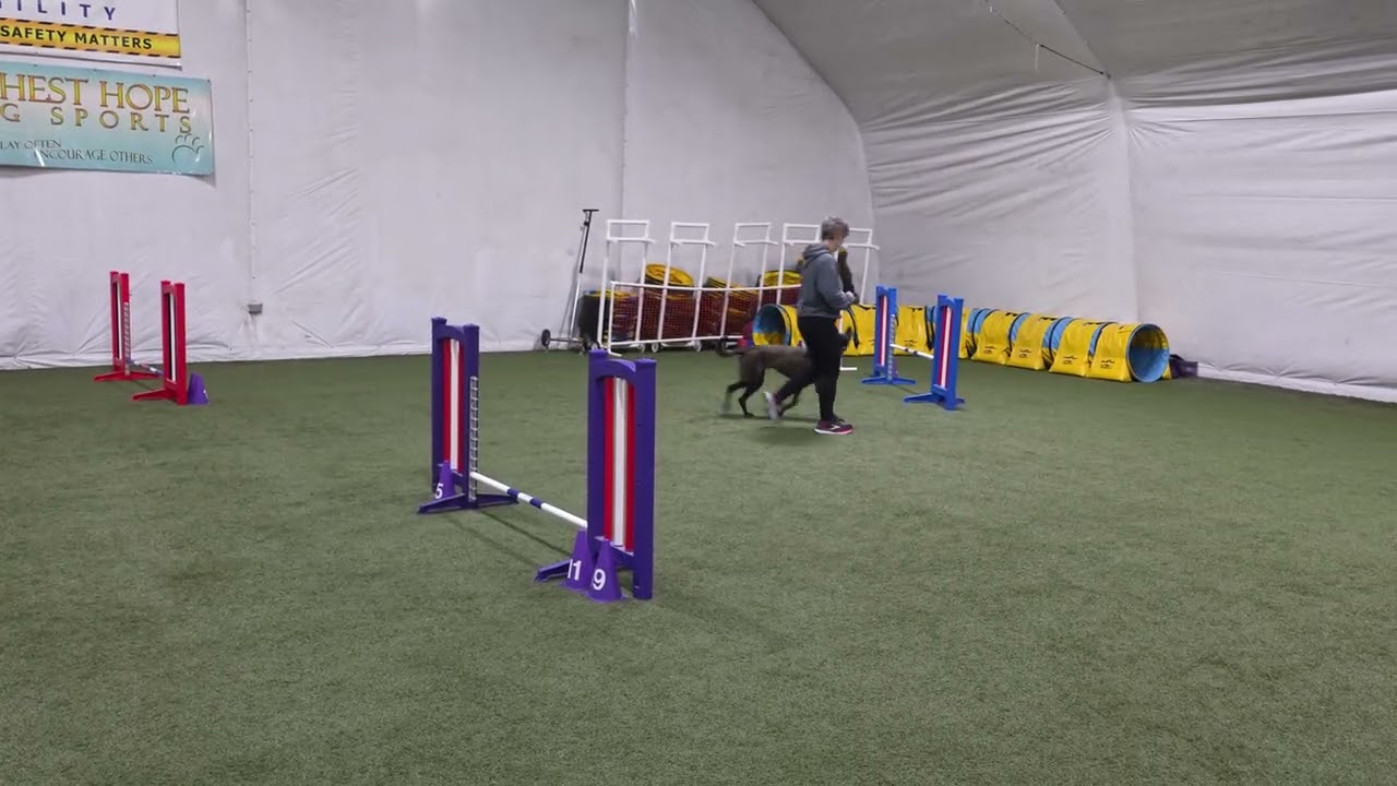 Sekas agility journey Feb 22 part 2