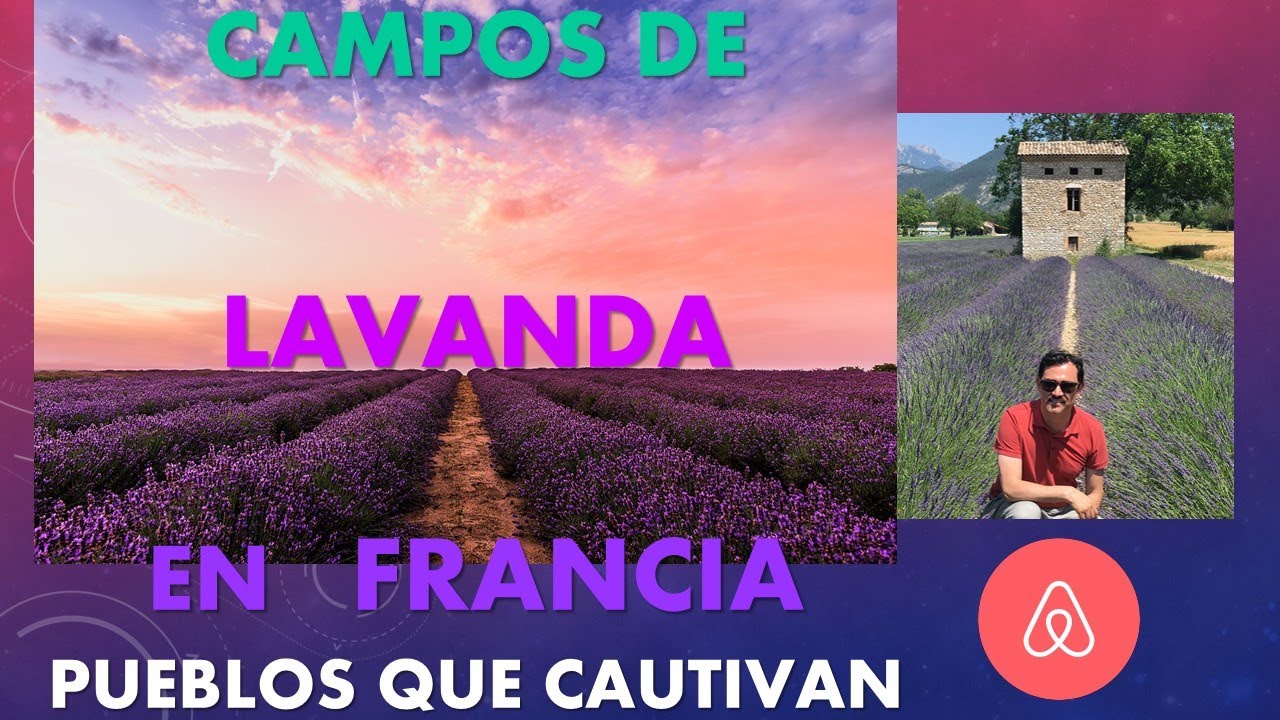 Campos de LAVANDA | Pueblos que Cautivan | Gran Ruta de Verano