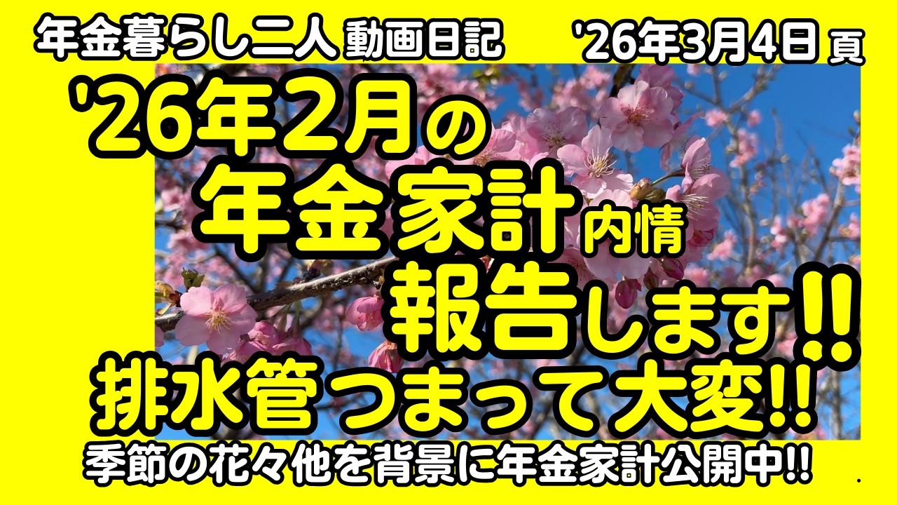 1c【年金生活２月の家計報告！】下水道使用料金通知はがき公開！下水排水管つまり大変！無人野菜販売所／河津桜他花11種#パン爺,#シニア,#vlog,#50代,#60代,#70代,#年金暮らし,#九州,