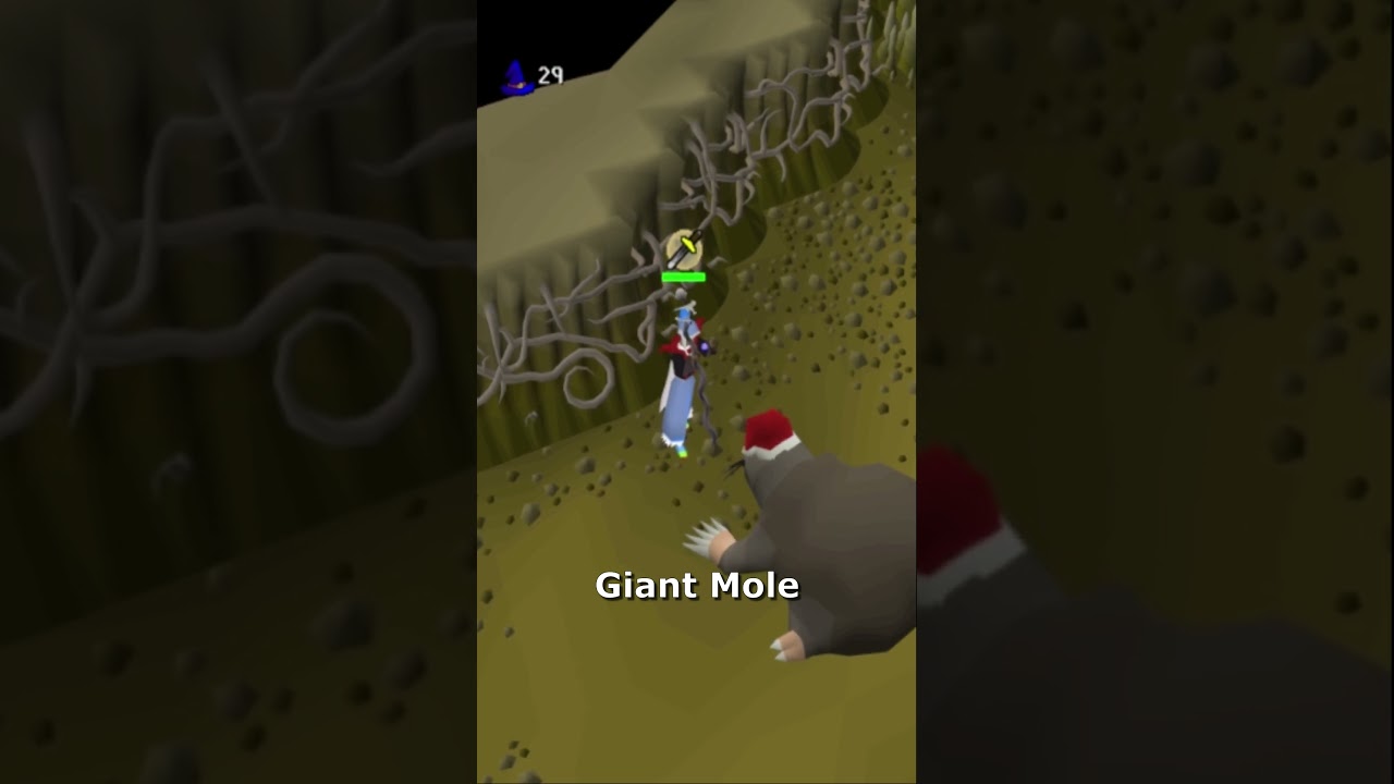 Best Beginner Bosses in OSRS 👾
