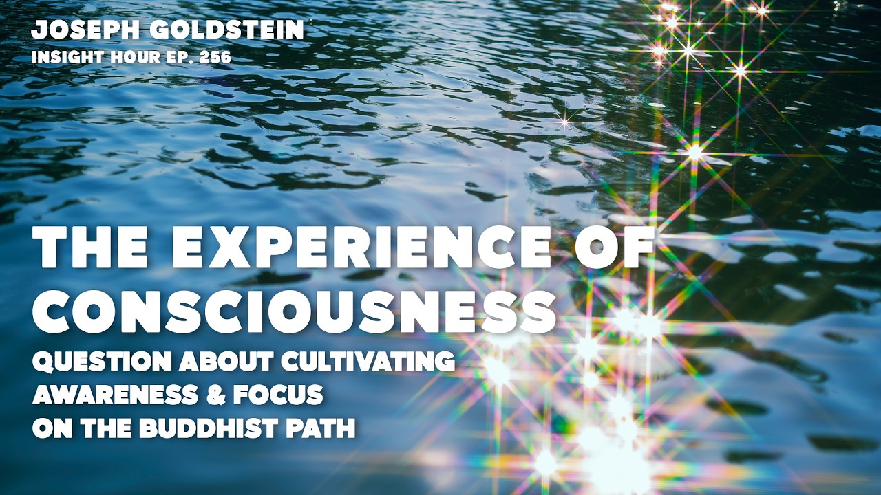 Cultivating Awareness & Focus On the Buddhist Path with Joseph Goldstein | Insight Hour Ep. 256