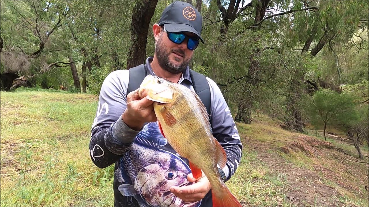 Big redfin perch jackpot | one of the best fishing adventures I have had