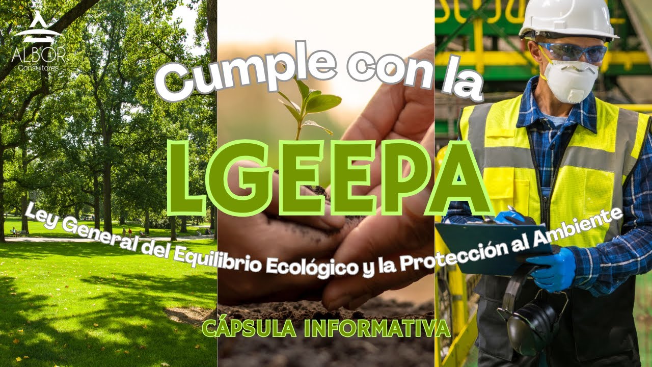 Cumple con la LGEEPA: Documentos esenciales para tu empresa