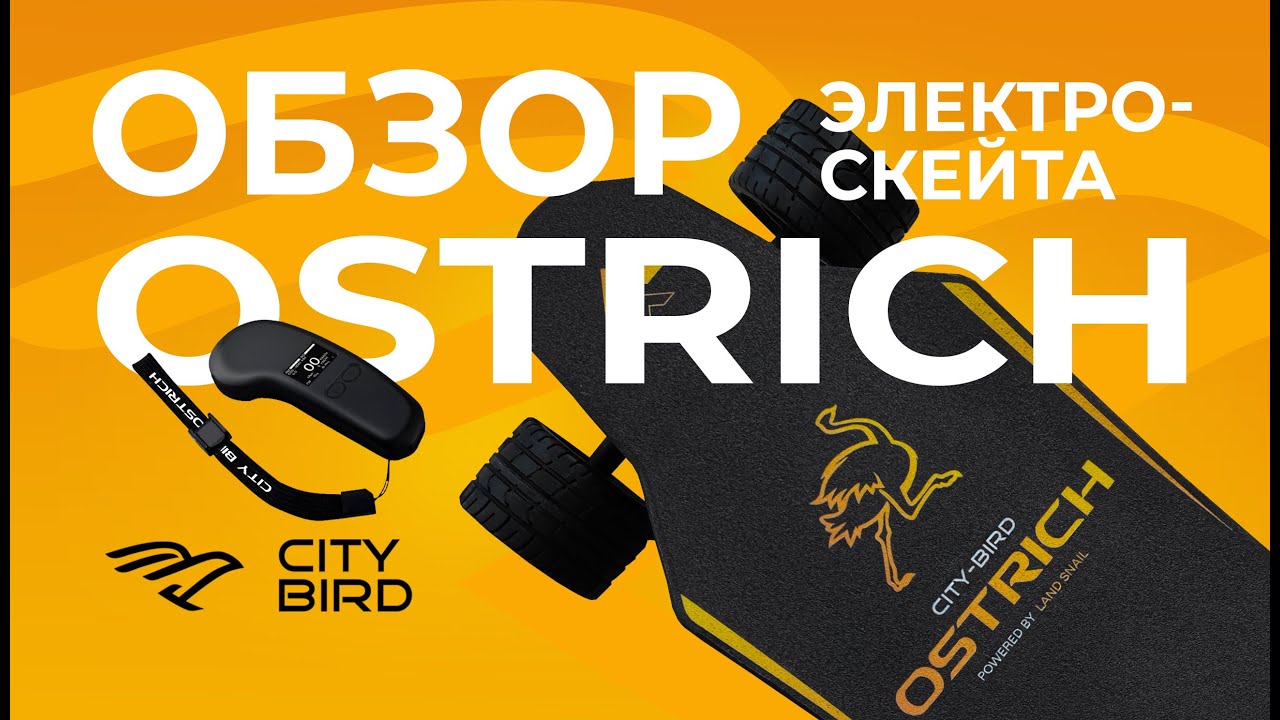 Распаковка и первый обзор на электроскейт City-Bird OSTRICH