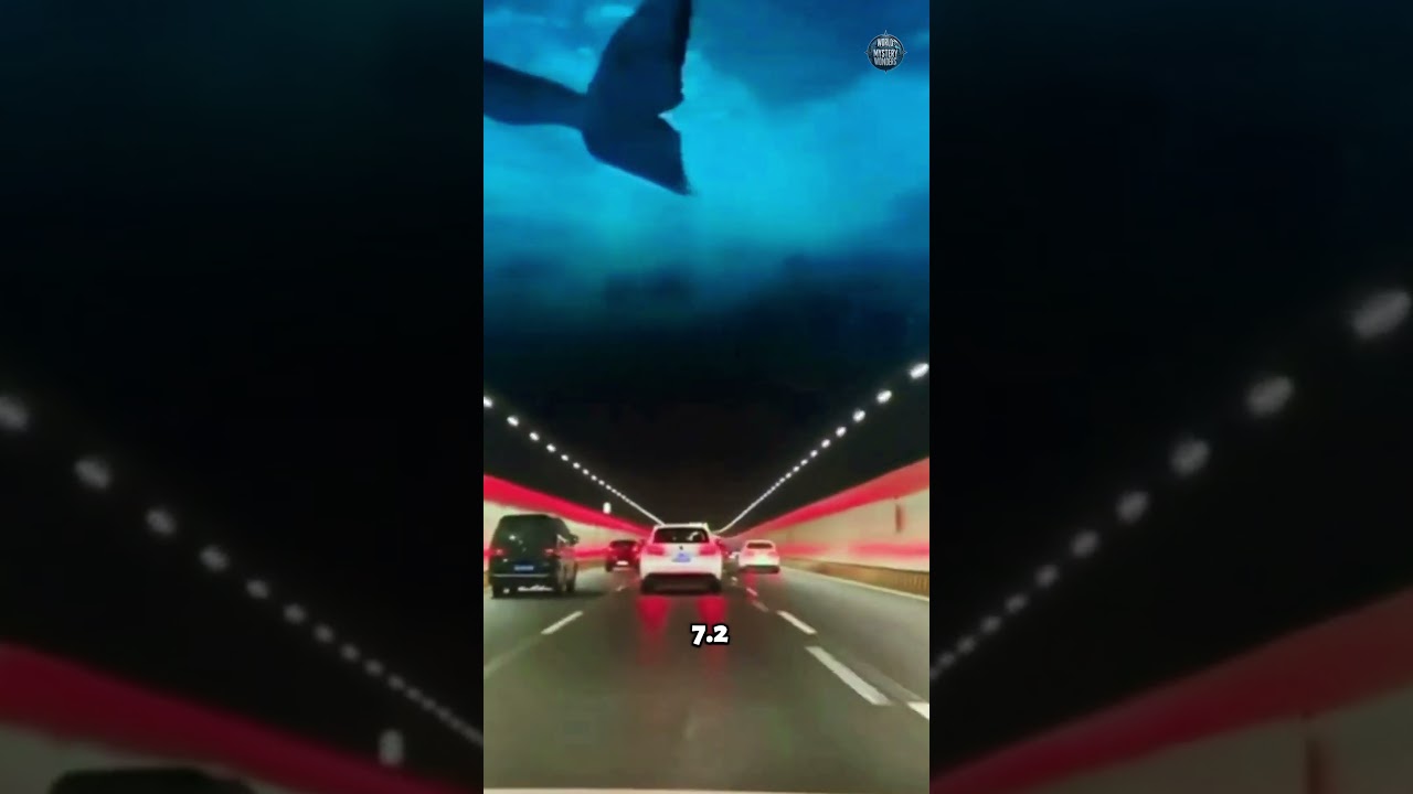 World's most impressive underwater highway | China&rsquo;s Suzhou Lake Tunnel #chinatravel