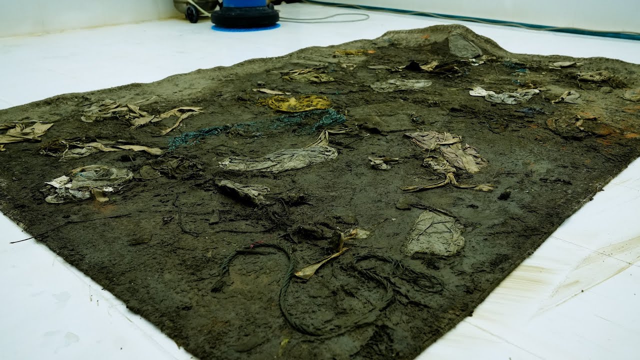 3 Inches of Mud Removed From This Rug – Satisfying ASMR Transformation - Carpet Cleaning ASMR