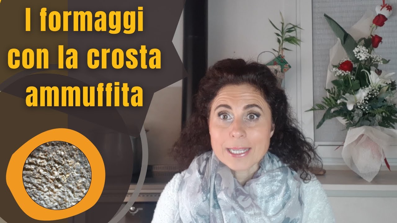 formaggio con la crosta ammuffita