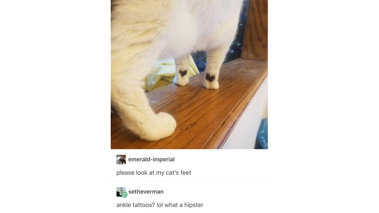 Tumblr Posts - Episode 6