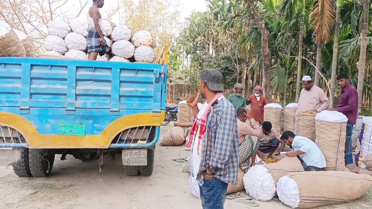 রংপুরের  ঐতিহ্যবাহী সুপারি হাট।