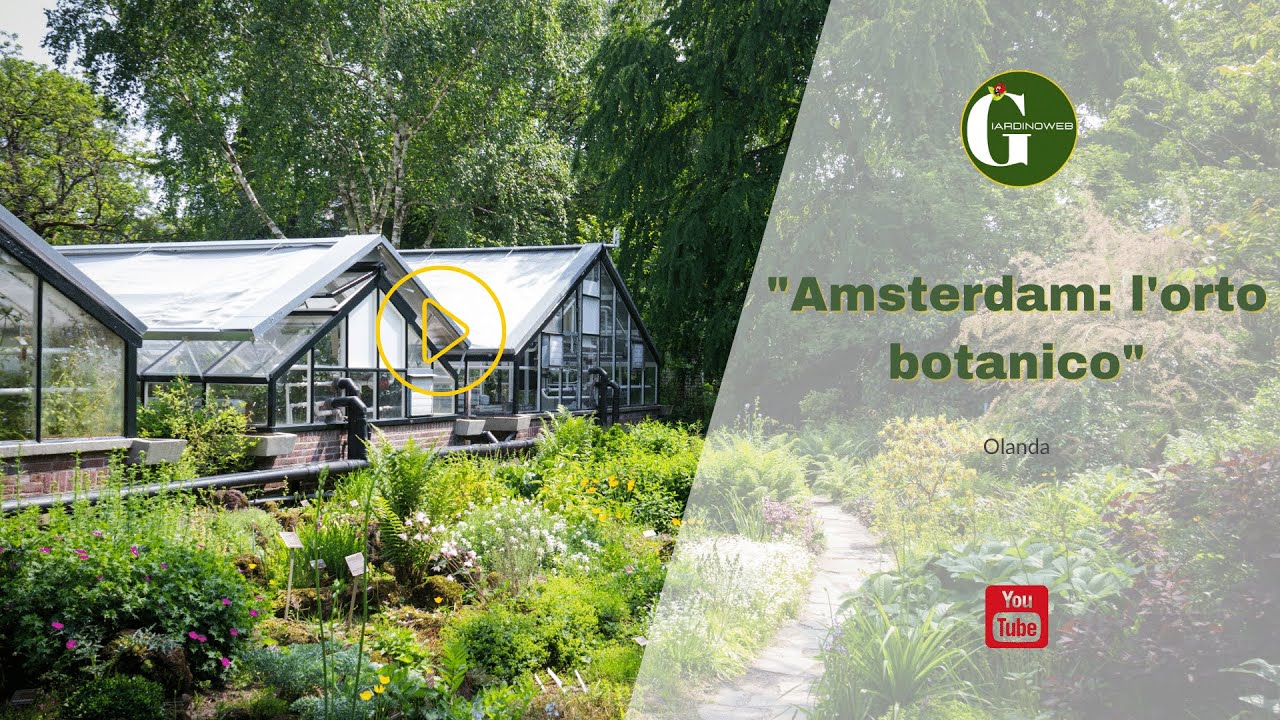 Amsterdam: l'orto botanico più antico d'Europa