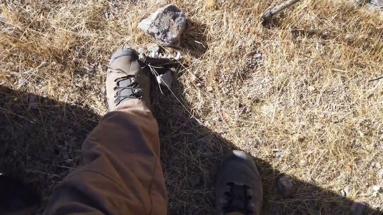 Providence Mountains &ndash; Camping and Exploring