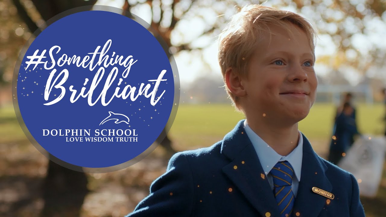 Dolphin School- Something Brilliant