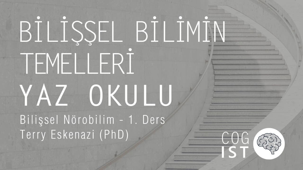 Bilişsel Bilimin Temelleri Yaz Okulu | Bilişsel Nörobilim #1 - Terry Eskenazi (PhD)