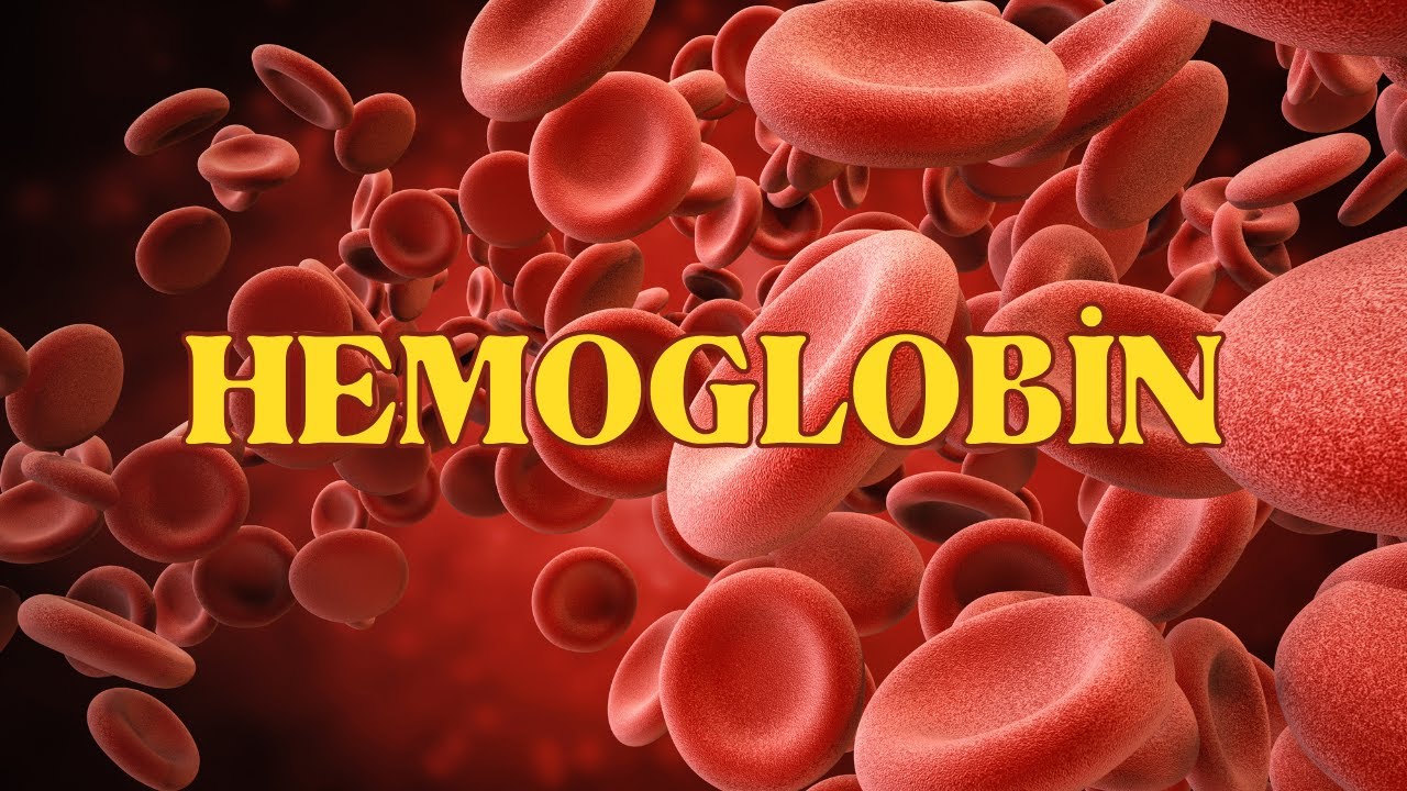 Kanımızın Görünmeyen İşçisi : HEMOGLOBİN 👩‍🔬🧬