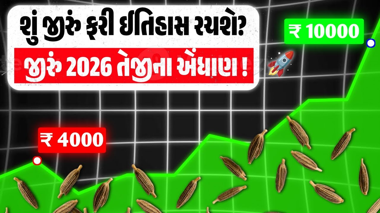 જીરુંના ભાવમાં મોટો ધડાકો!🔥જાણો શું કહે છે બજારના નિષ્ણાંતો?