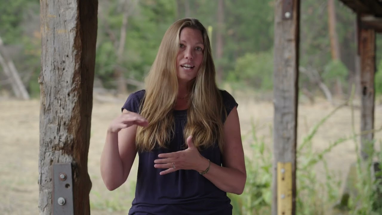 Transforming the Beaver Valley Headwaters Preserve