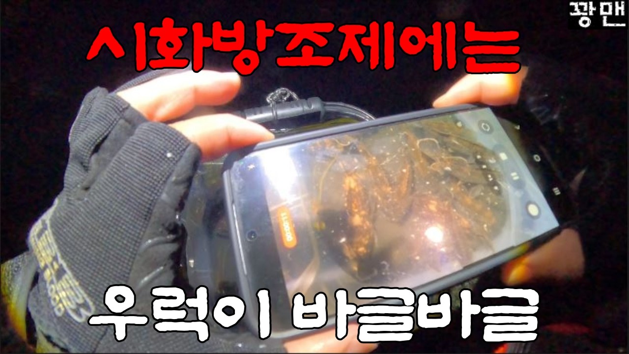 4/6 시화방조제에는 우럭이바글바글