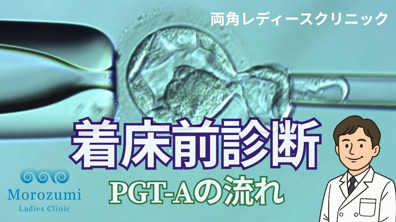 着床前診断～PGT-Aの流れ～