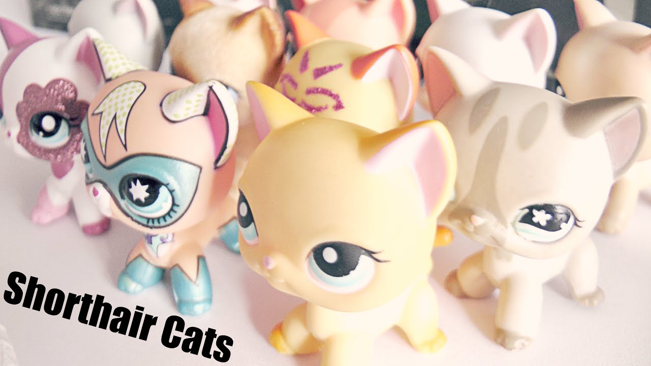 All My Lps Shorthair Cats || LPS Shorthair Cat Collection