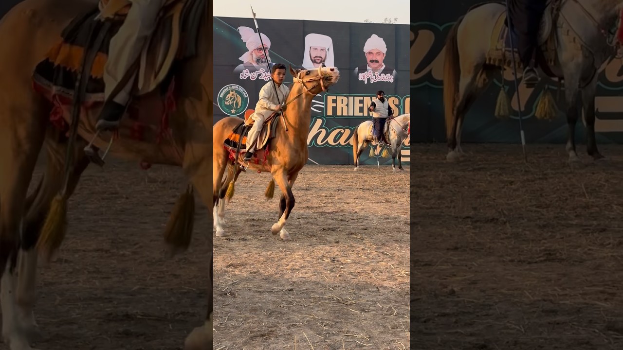 youngest player tent pegging | neza bazi in punjab #youtubeshorts #nezabaziinpakistan #ytshorts