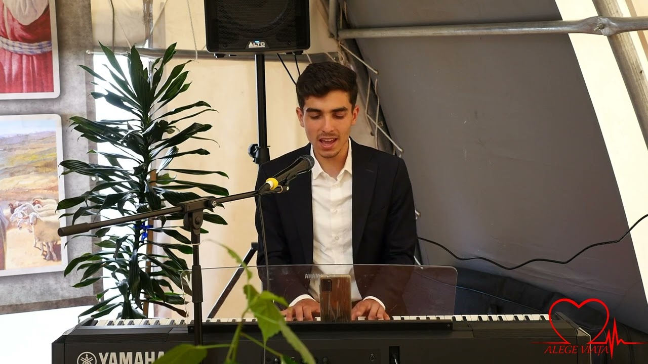 Tulpan Emanuel -Emanuel