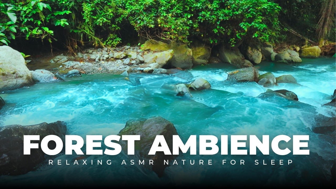 Deep Forest Ambience with Bubbling Brook Sounds | Relaxing ASMR Nature for Sleep