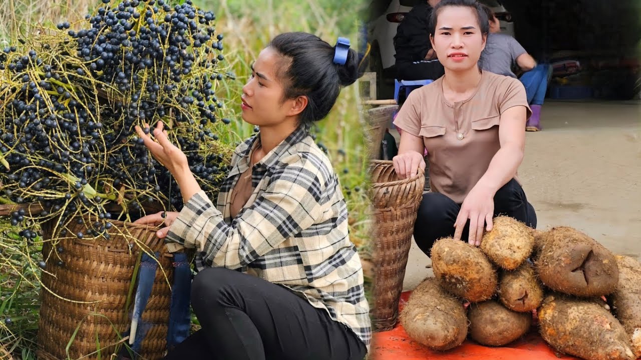 Journey Of Lonely Days Building A New Life Harvesting Fruits And Vegetables To Sell At The Market