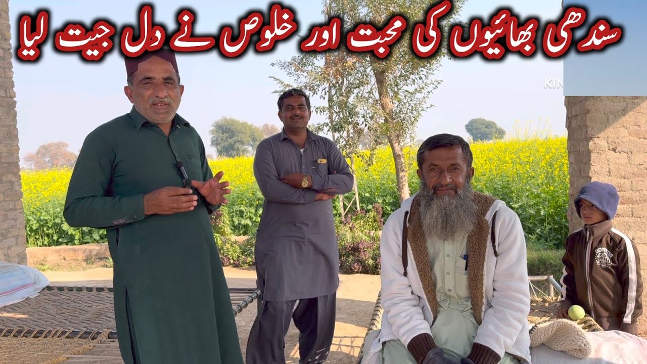 Sindh village life||Shahdad por Sindh village||Chalta Phirta Tv 