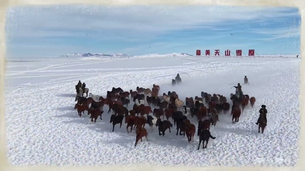 伊犁 天馬踏雪