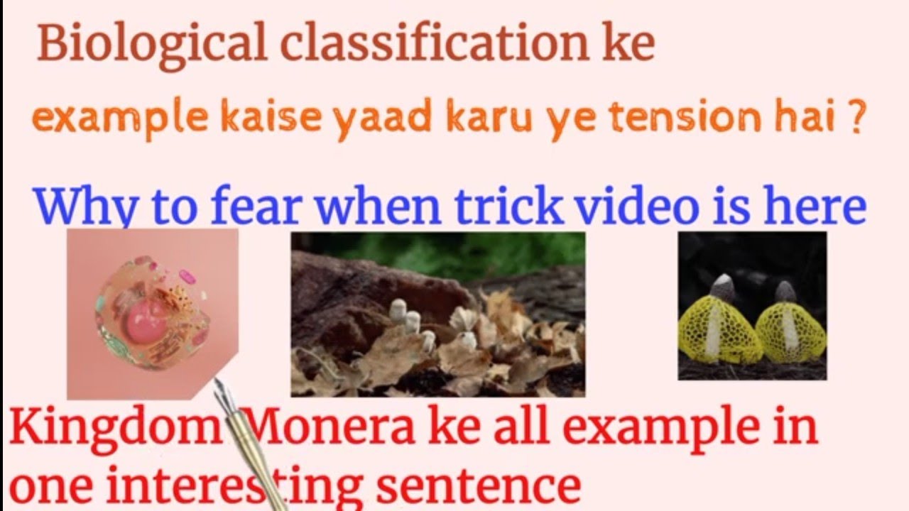Biology trick to remember all examples of kingdom fungi 😊