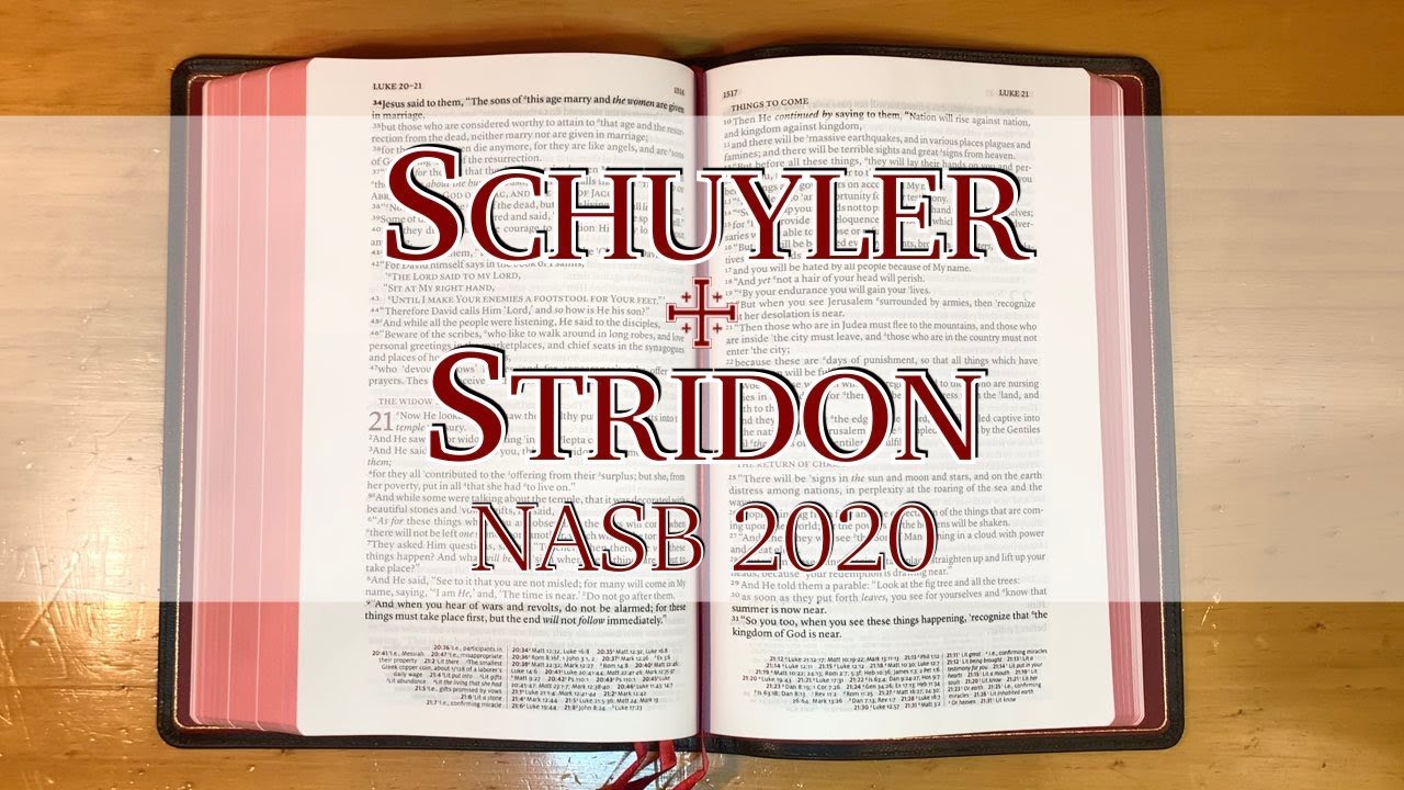 First Look: Schuyler Stridon NASB 2020 in Black Goatskin
