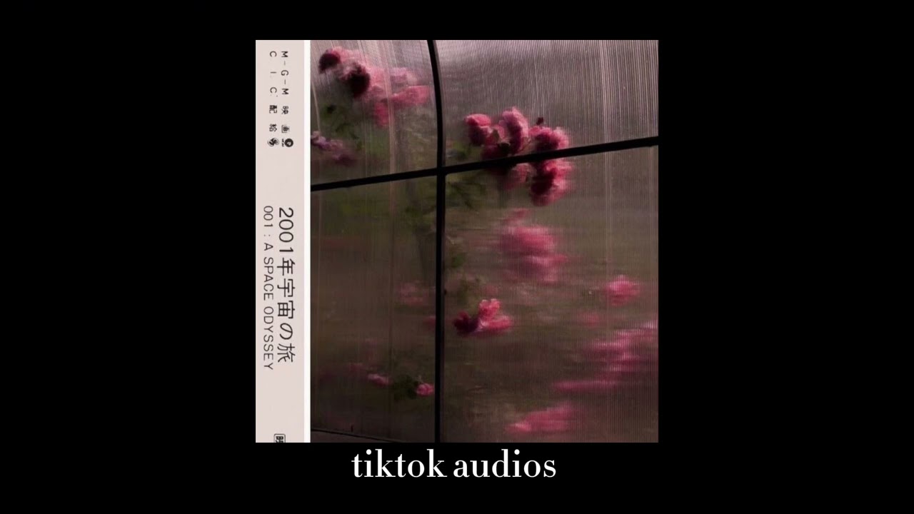tiktok audios 156 + timestamps