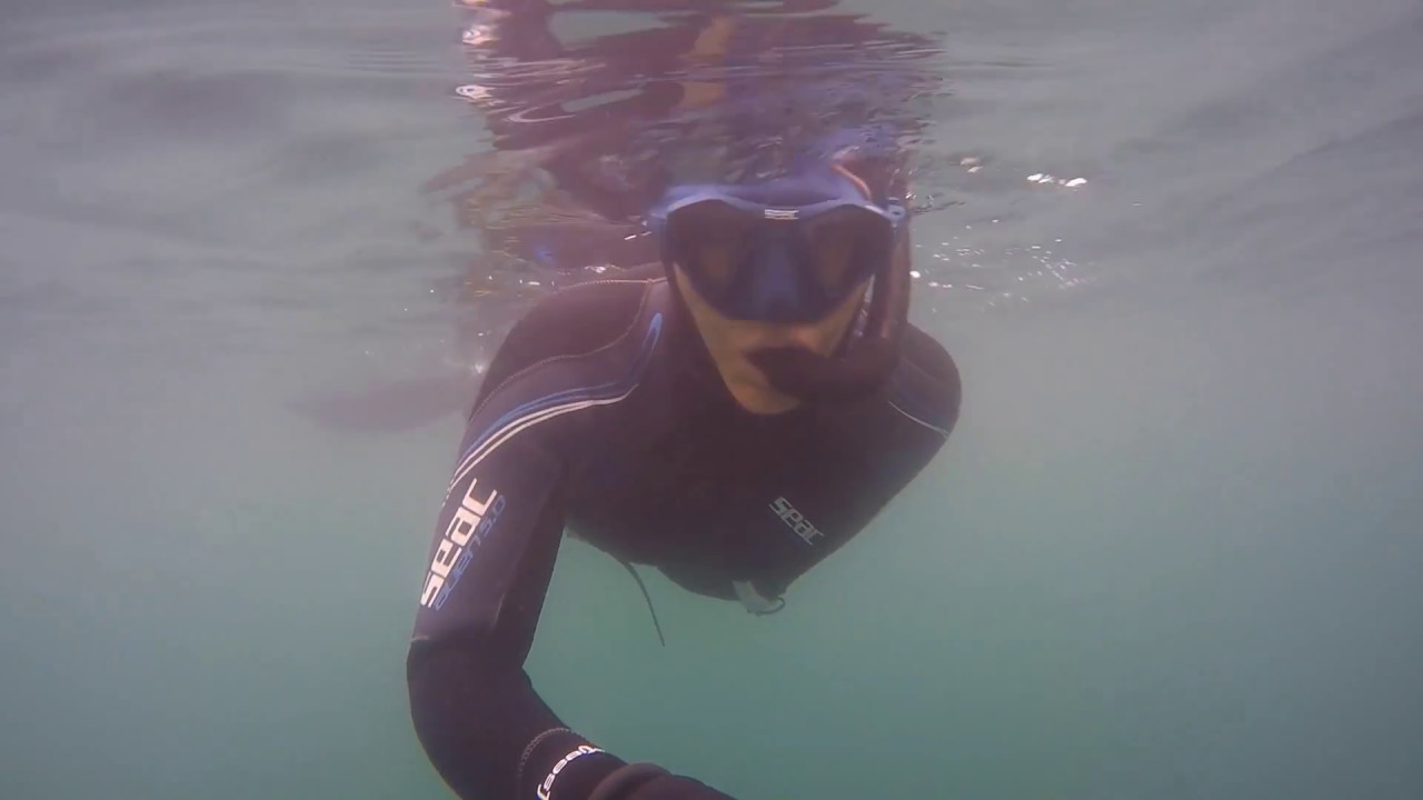 Scuba Diver Girls, Baby Seals & Sharks!!!