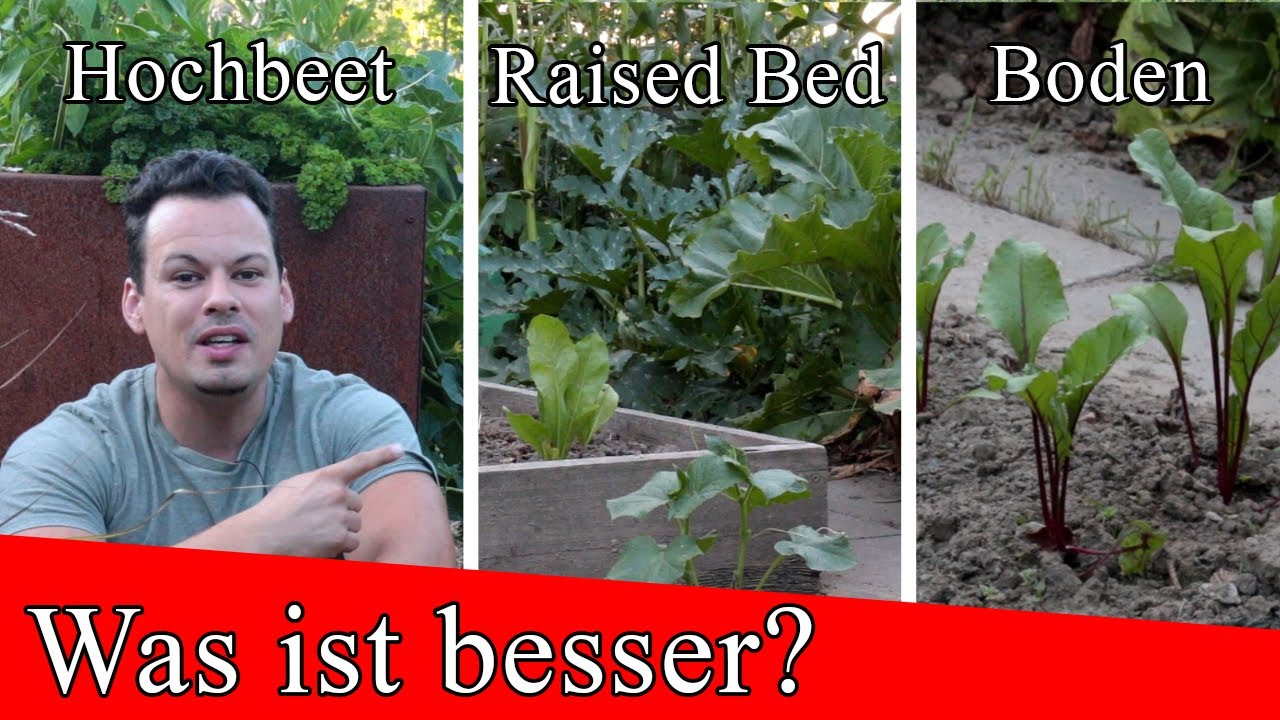 Was ist besser Hochbeet oder Bodenanbau der ultimative Vergleich