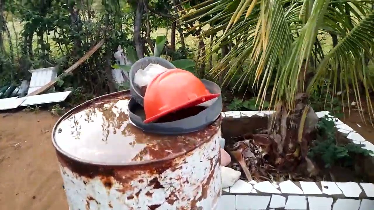 Tava precisando de limpeza o meu quintal 