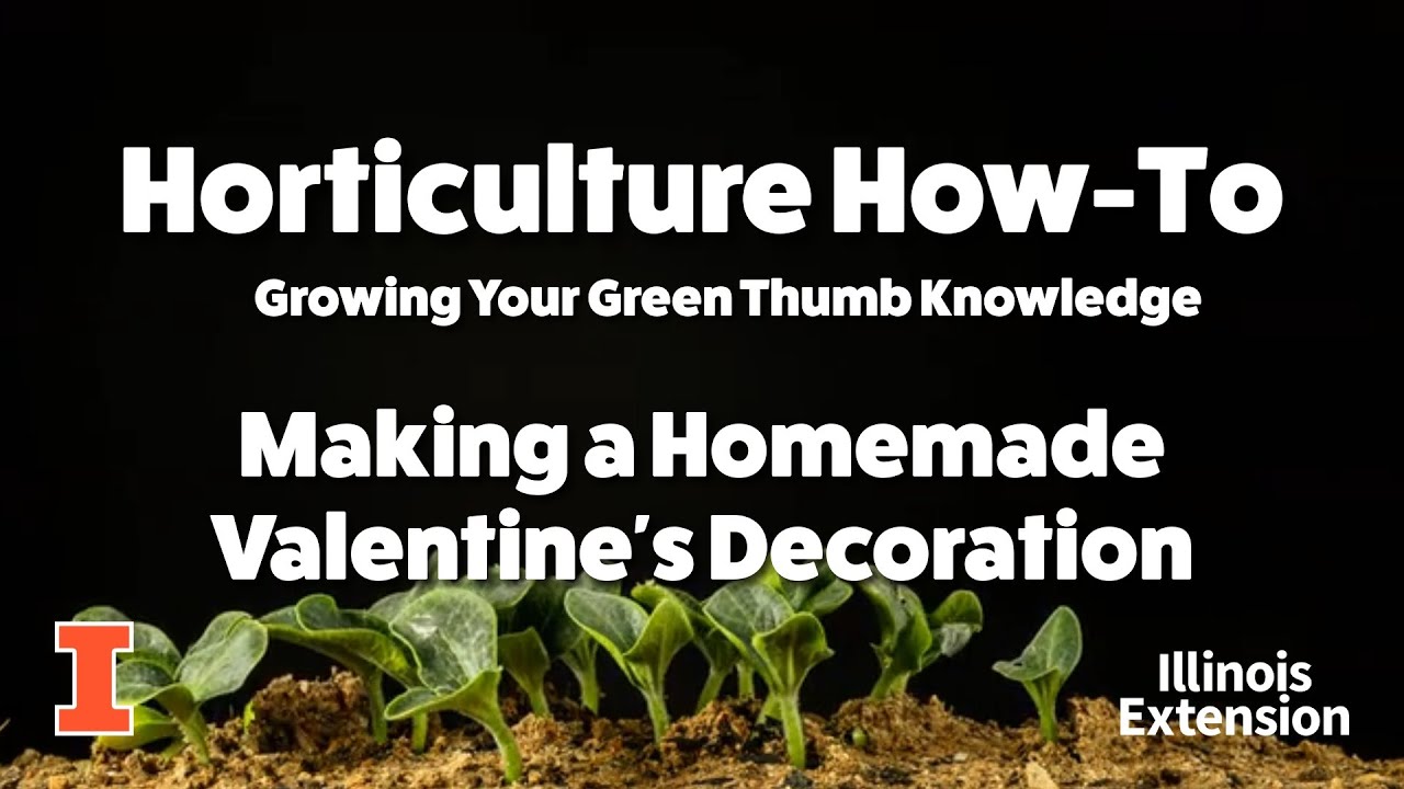 Horticulture How-To - Making a Valentine's Decoration