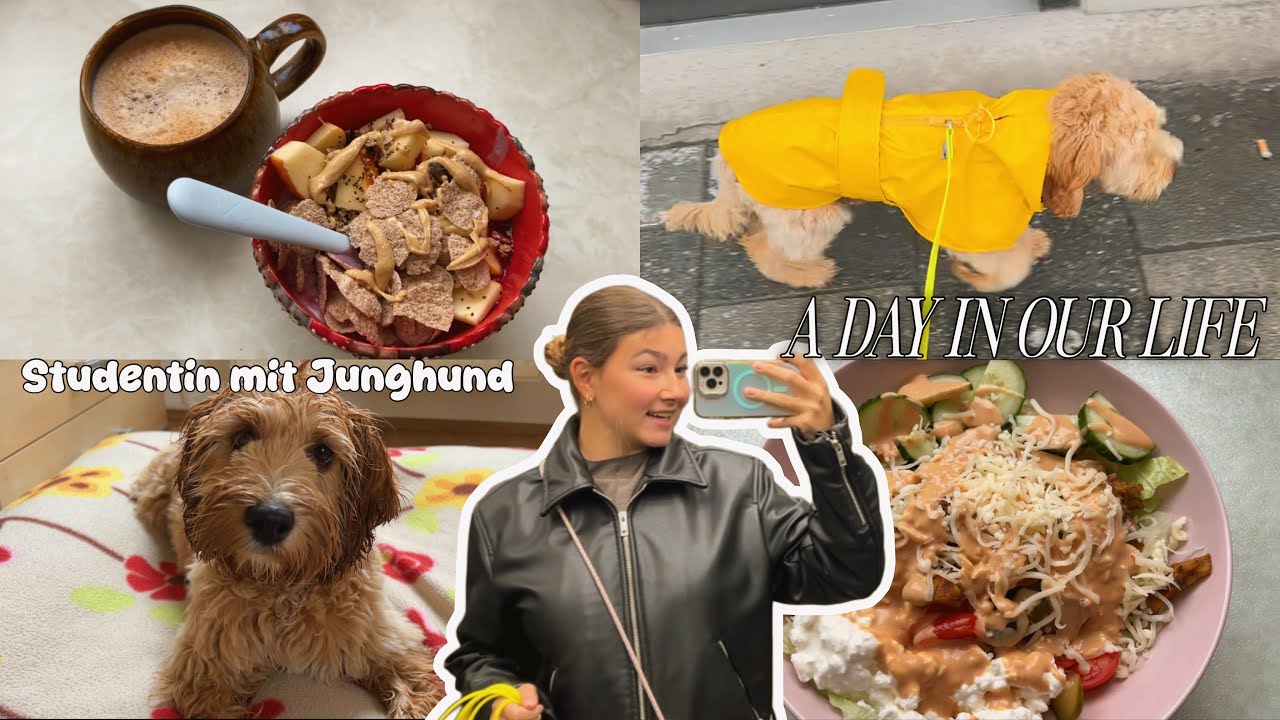 A day in my life | Studentin mit Junghund | VLOG by melliescameraroll
