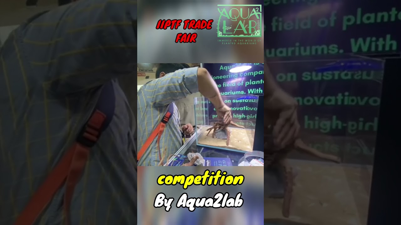 Aquascape Competition in IIPTF trade fair Delhi By Aqua2lab 