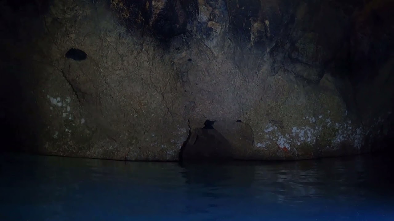 Diving at A Catedral, Sagres, Portugal, with Divers Cape, 2.8.2021