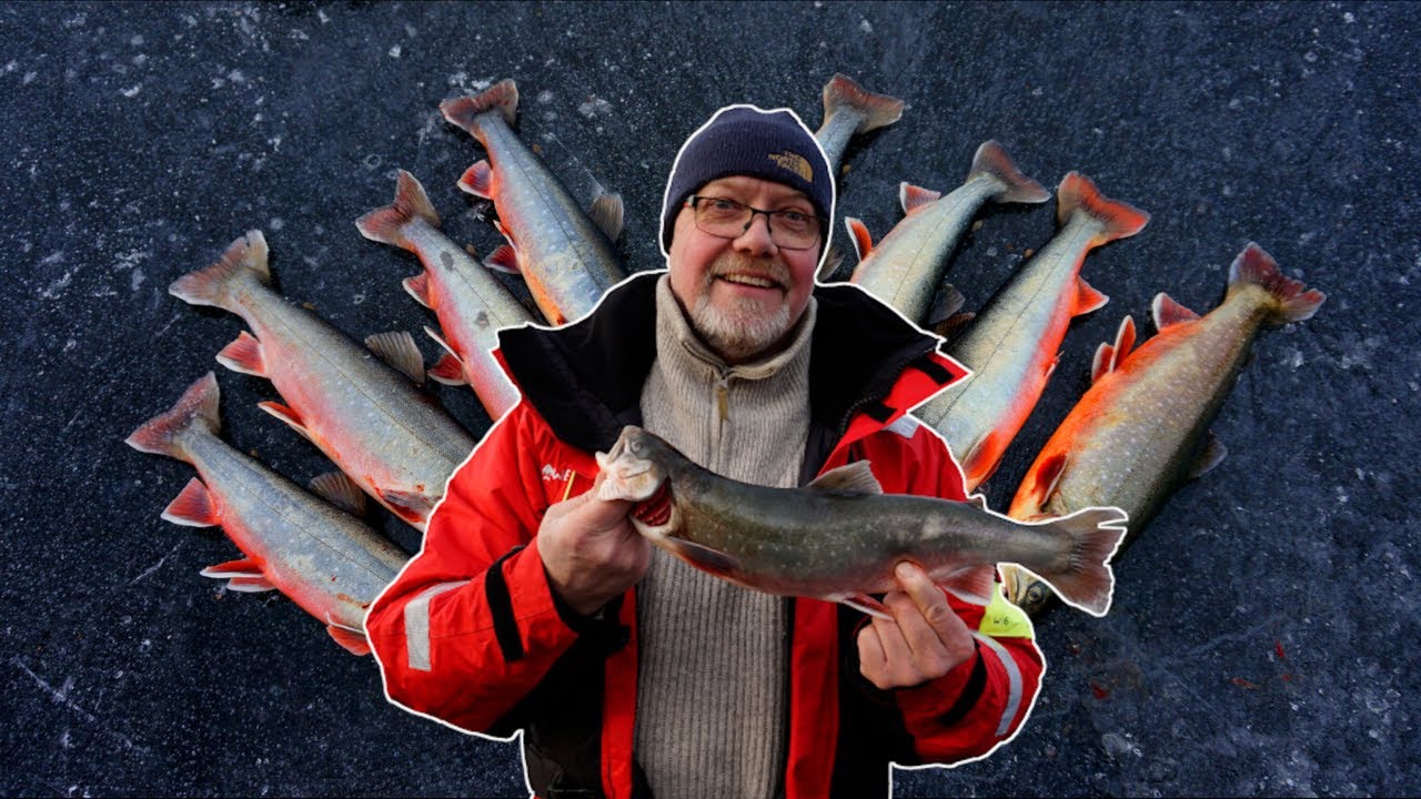 Röding Fiske när det är som bäst! (Ice fishing Char when its at its best)