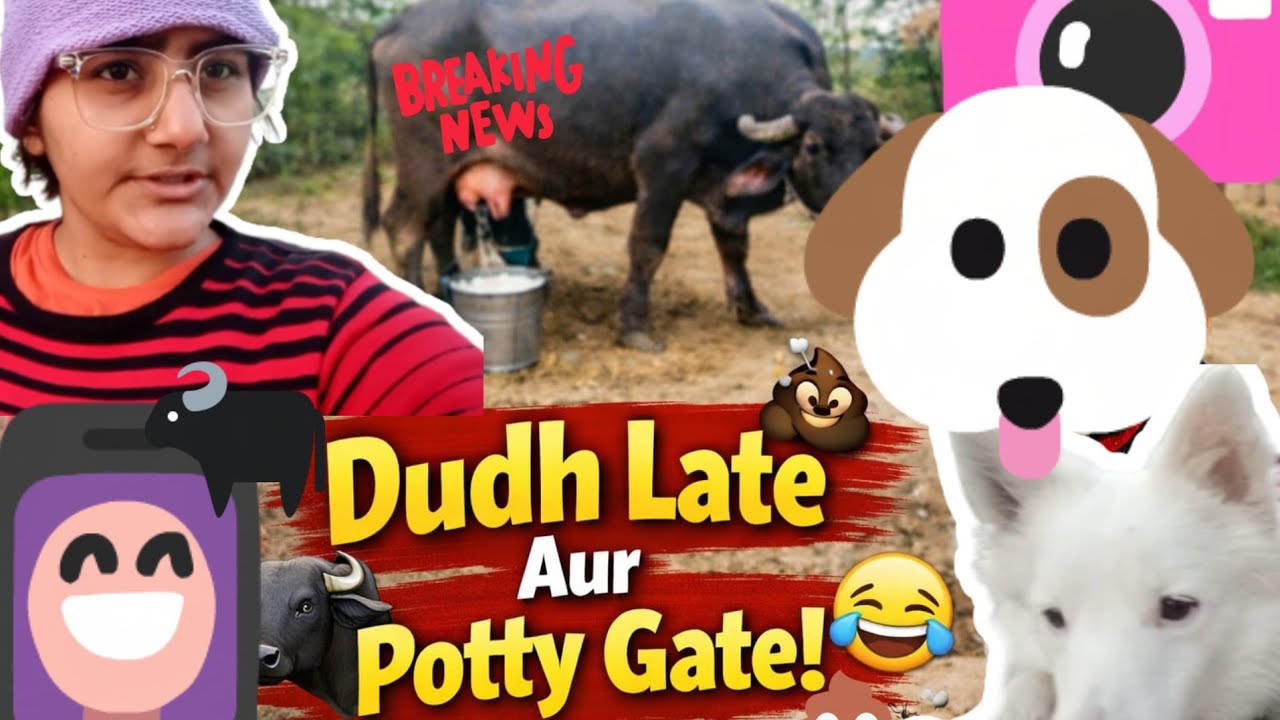 Bhais ne Dudh Late Diya 🐃😳 Aur Michael ne Chupke se… 💩😂Michael – Tune Potty Ki? 😂🐶 | Haryanvi Vlog