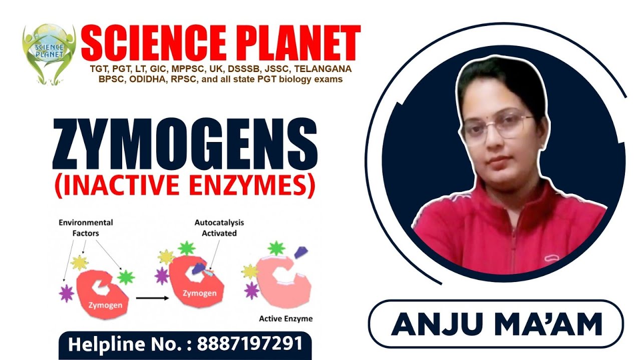 Zymogens (Inactive Enzymes) Explain by Anju Mam of Science Planet!