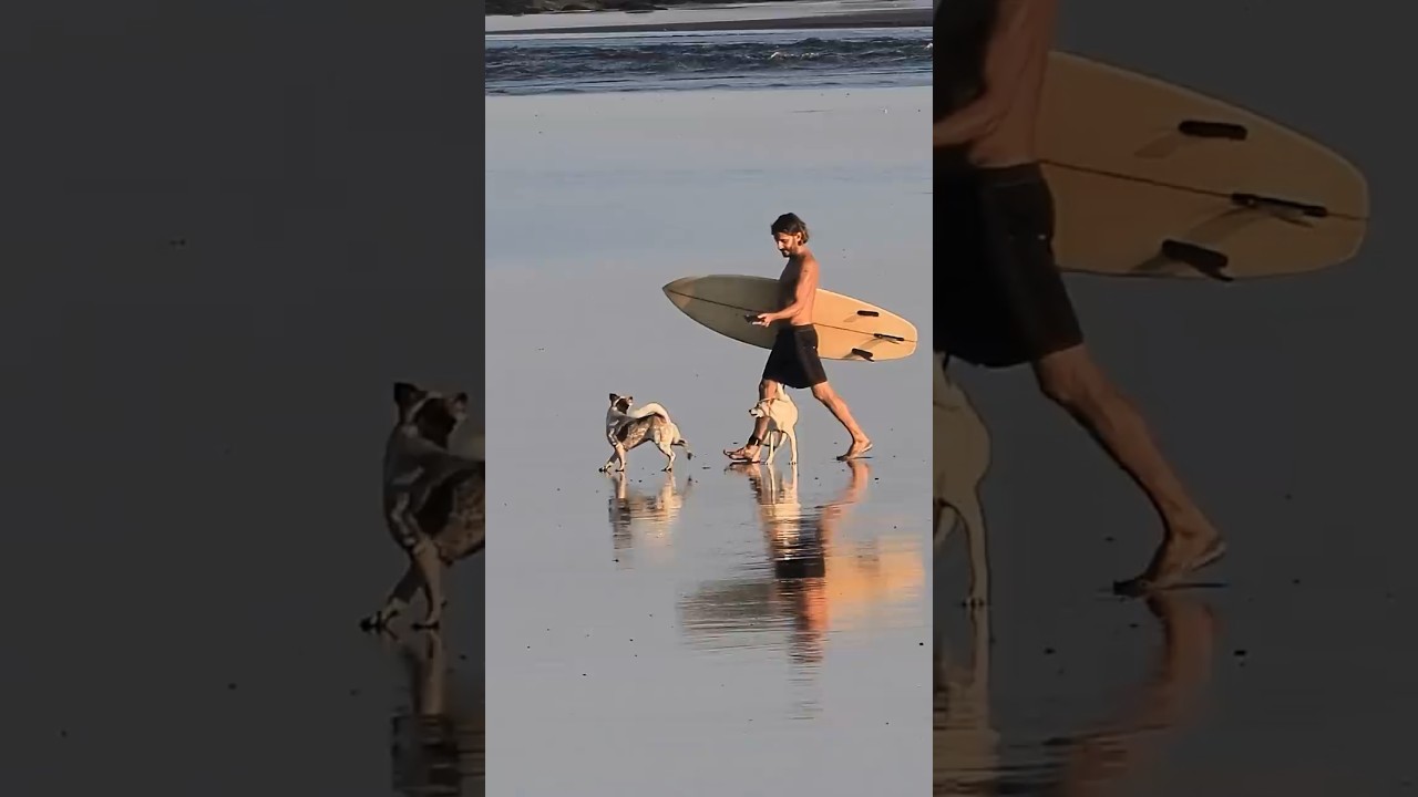 Morning Fun In Canggu #surfersofbali #surfingbali #surfers