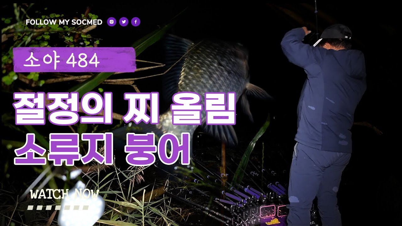 절정의 입질을 보여주는 소류지