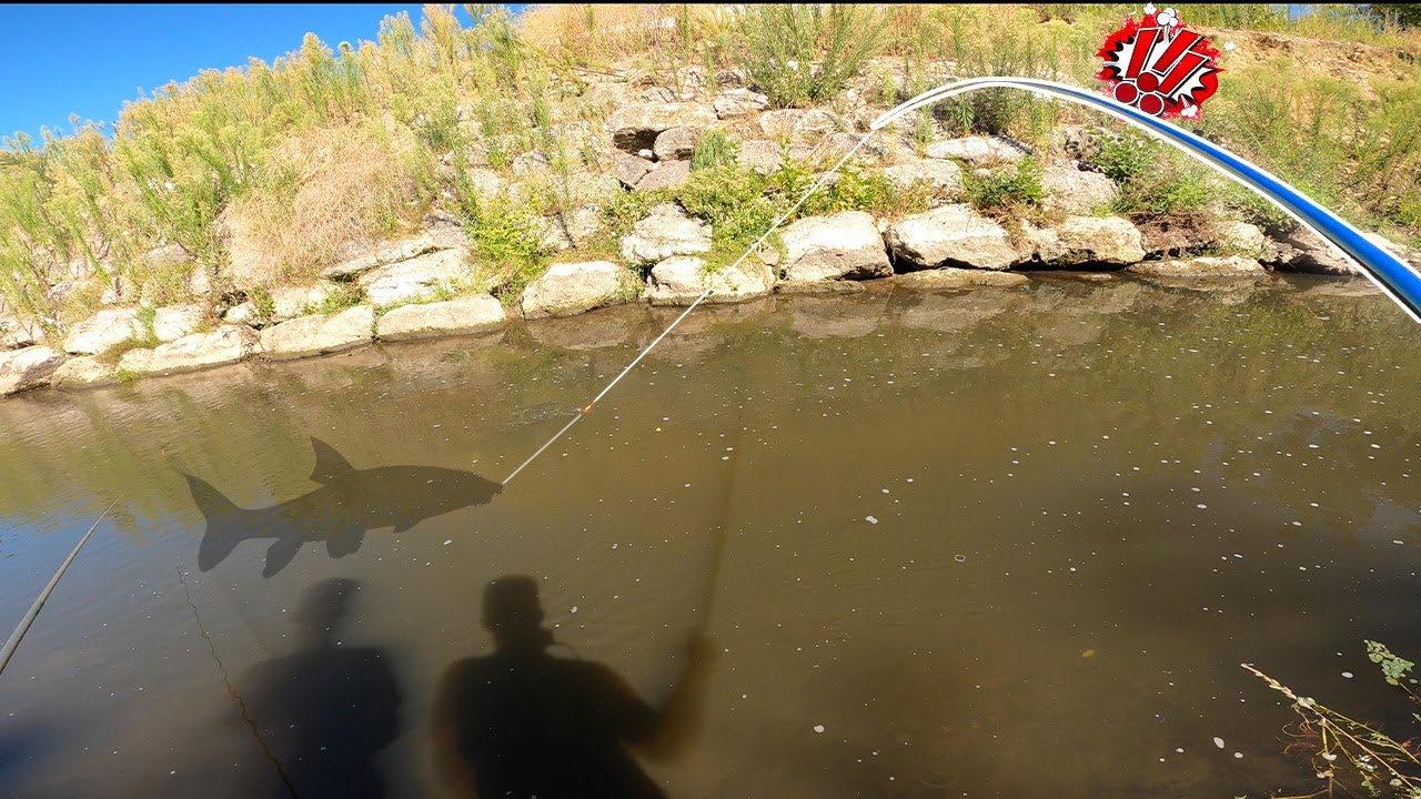 C'est TROP PUISSANT, ma CANNE à PÊCHE va cassée ??!! Pêche au bouchon dans une petite rivière