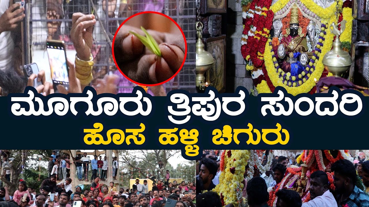 ಹೊಸ ಹಳ್ಳಿ  ಚಿಗುರು ಮೈಸೂರಿನ ಮಹಾರಾಜರಿಗೆ ಮೀಸಲು | Tripurasundari Amma Temple | Muguru | Mooguru | Mysore