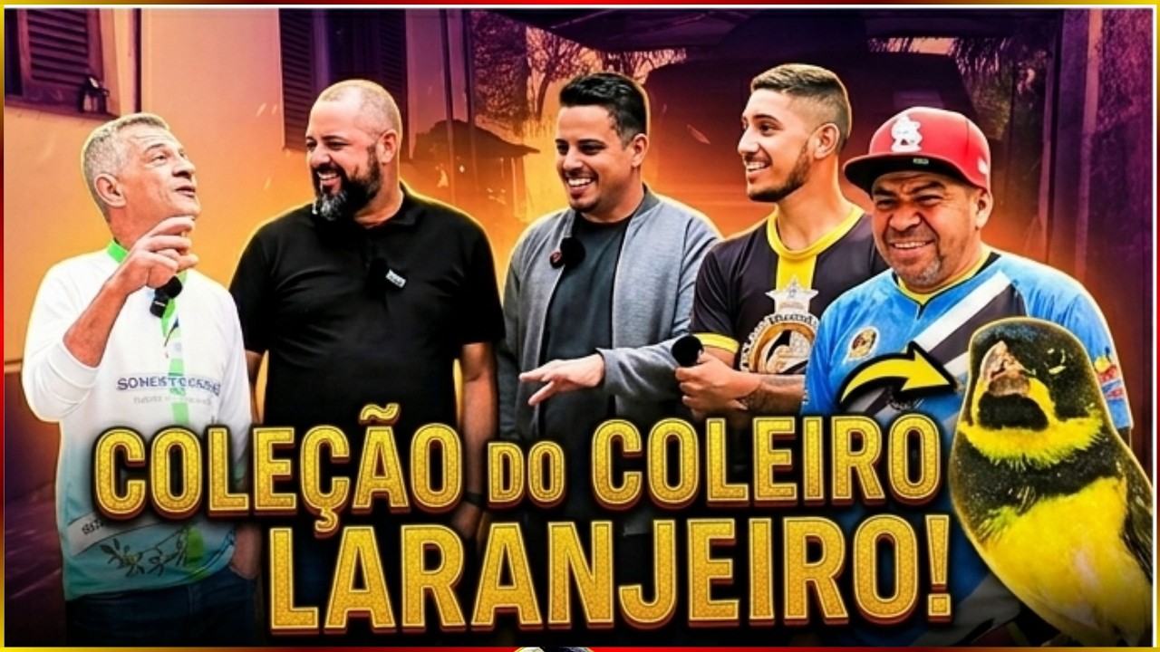 Coleção De COLEIRO LARANJEIRO