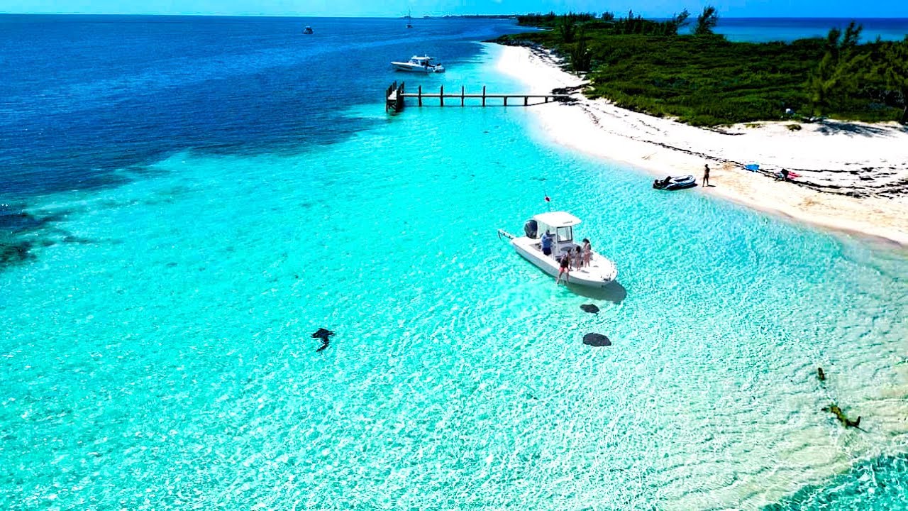 Feeding  Sharks, & Snorkeling in Bimini Bahamas