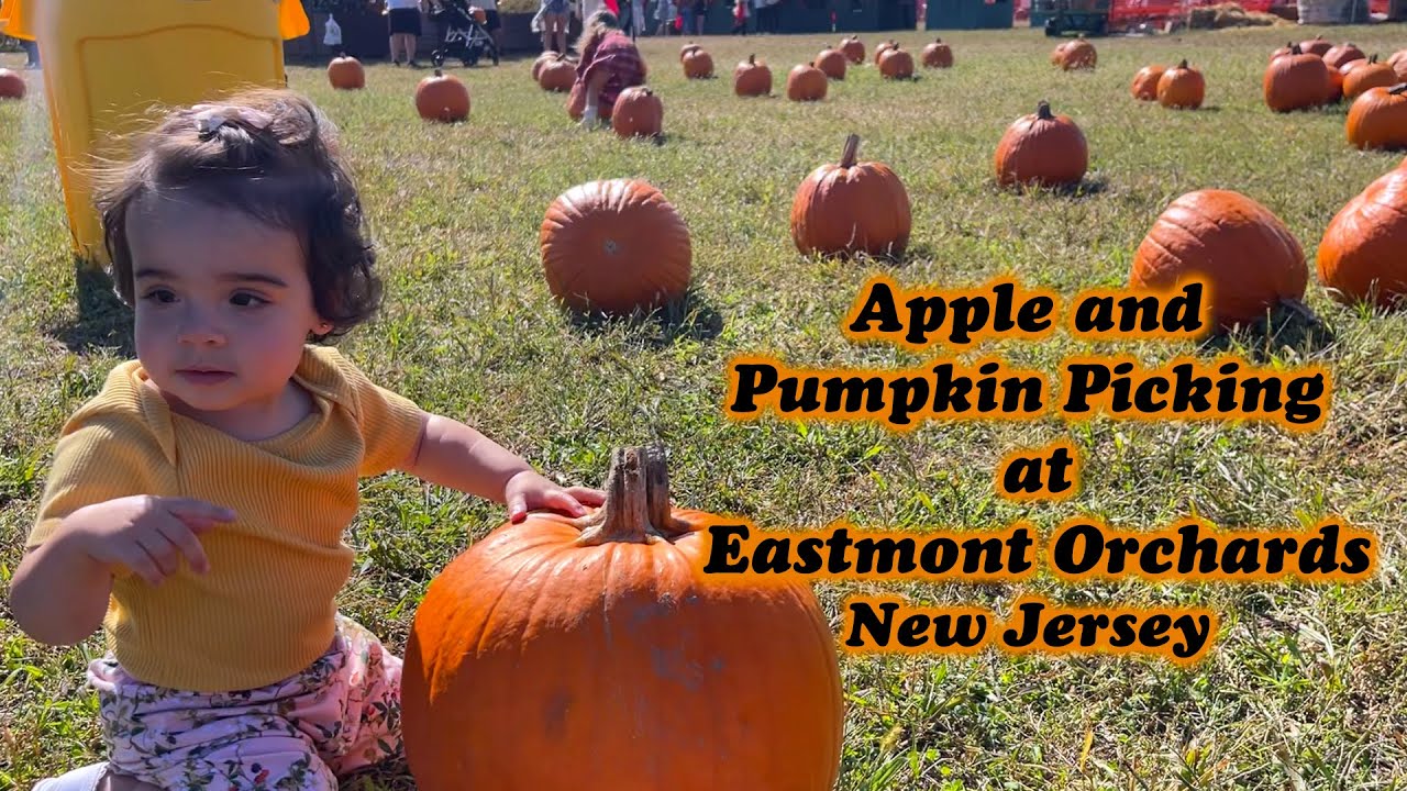 Pumpkin and Apple Picking at Eastmont Orchards in New Jersey | Adventures In Weberland